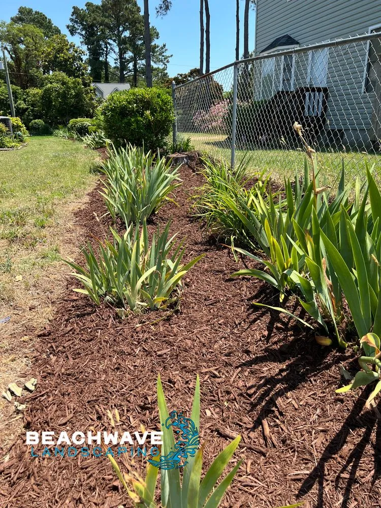 Custom landscape installation in Manteo, NC by Beachwave landscaping