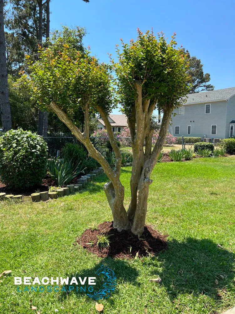 Expert lawn mowing service experts serving Manteo, NC - Beachwave landscaping