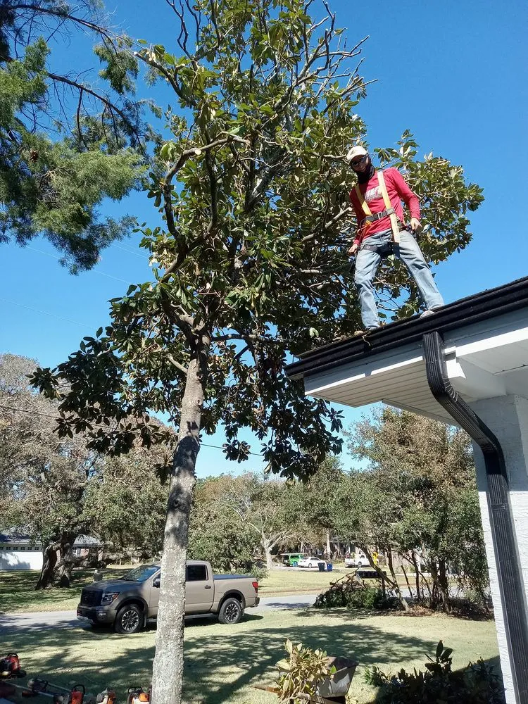 Top-rated lawn mowing service experts serving Myrtle Beach, SC - Beachy Outdoor Services