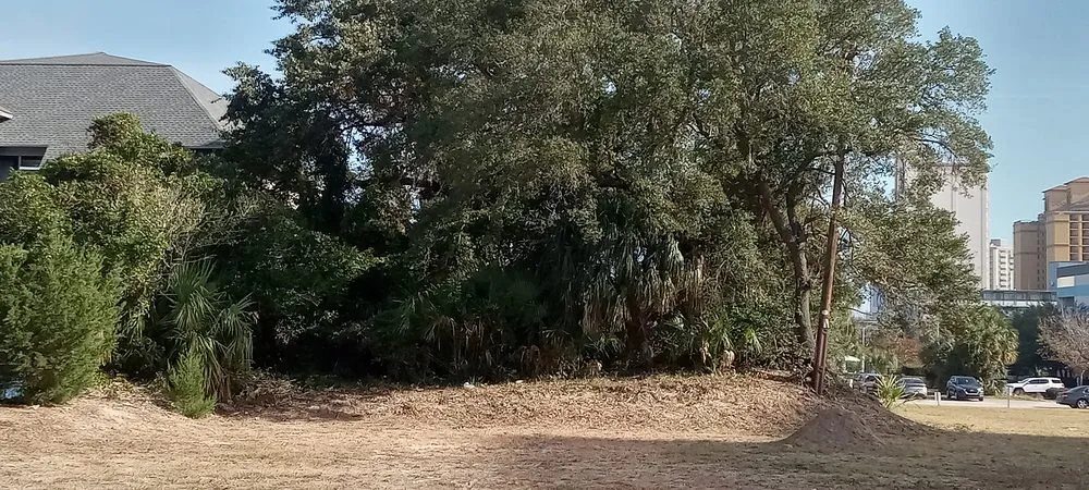 Reliable landscaping services for beautiful yards across Myrtle Beach, SC - Beachy Outdoor Services