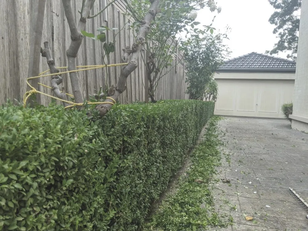 Professional landscape installation in Riverdale, GA by Beacon Community Solutions