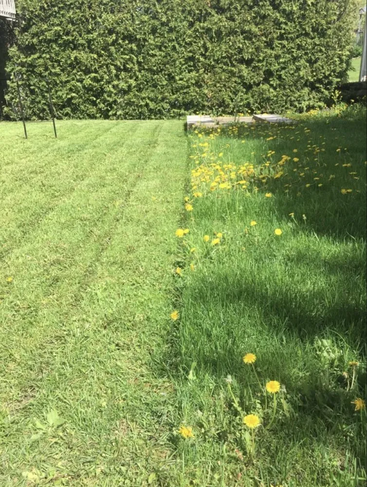 Reliable landscape design in Riverdale, GA - Beacon Community Solutions