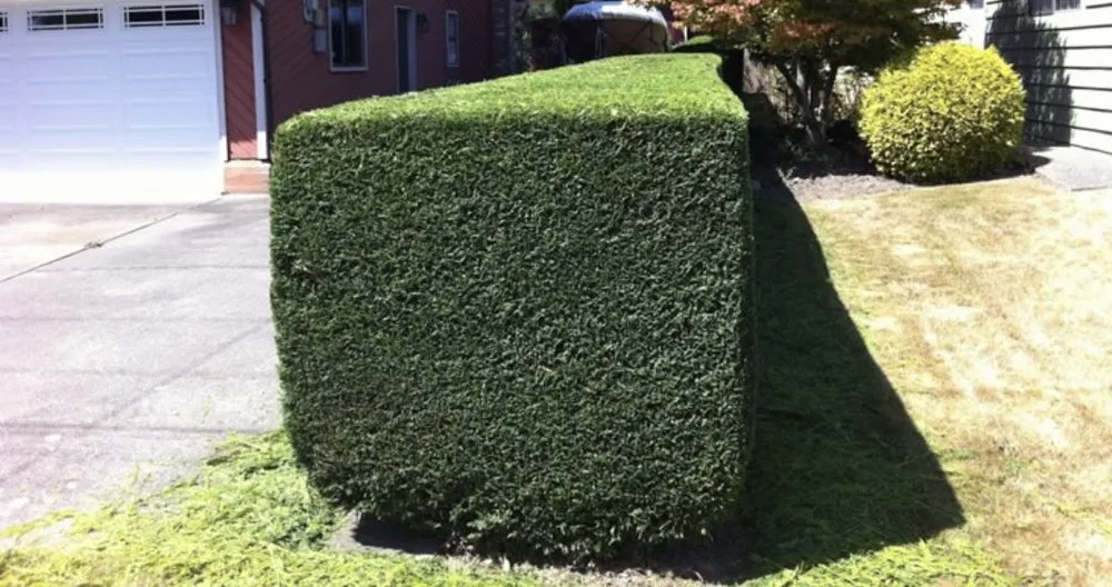 Reliable outdoor landscaping for residential properties in Riverdale, GA by Beacon Community Solutions