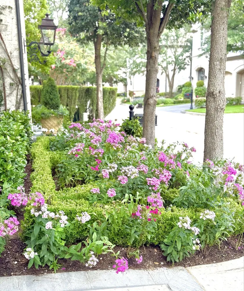 Top-rated landscape installation in Dallas, TX by Beacon Estate Solutions