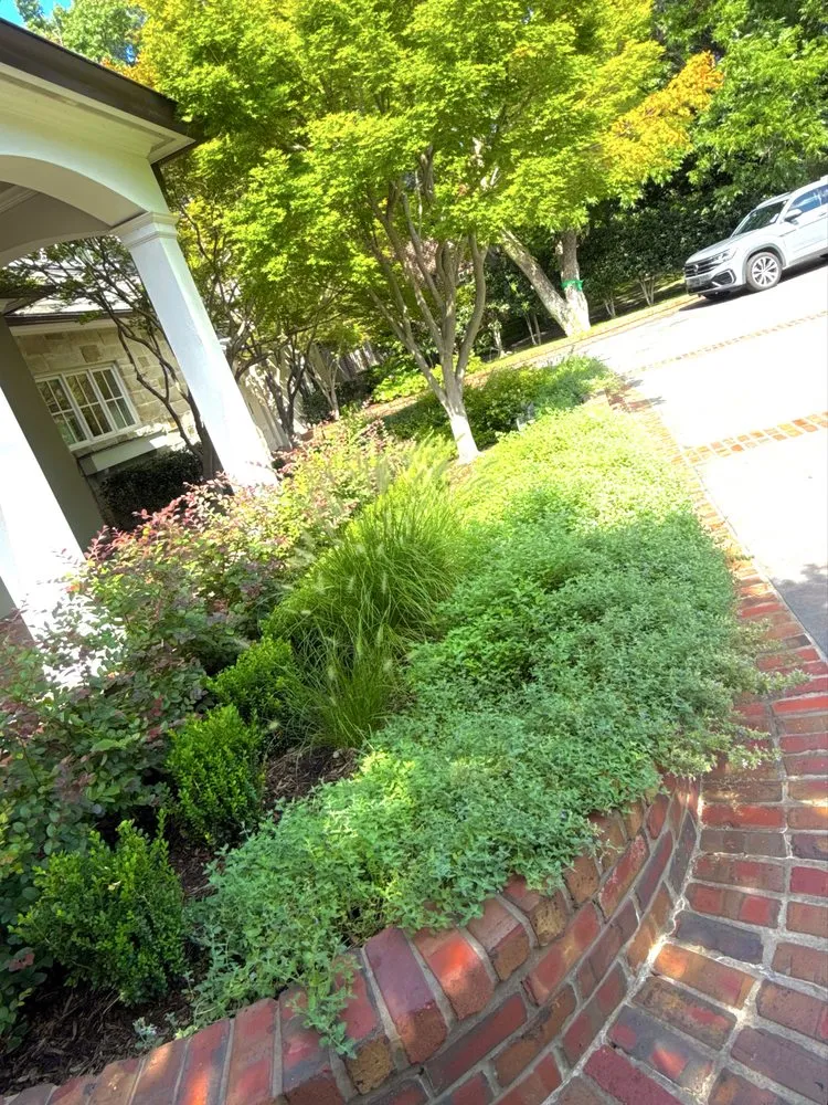 Professional residential landscaping for residential properties in Dallas, TX by Beacon Estate Solutions