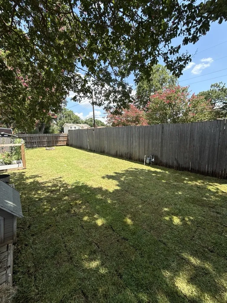 Affordable lawn care service for homes in Dallas, TX by Beacon Estate Solutions