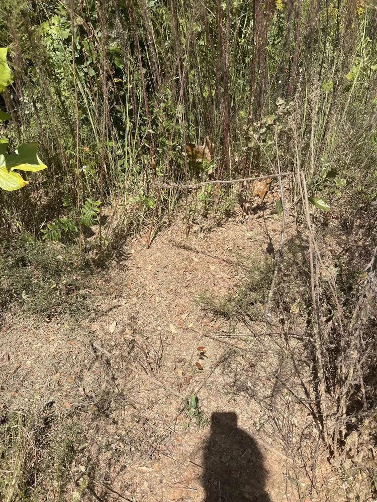 Custom outdoor landscaping in Valley, AL - Beacon Landscaping