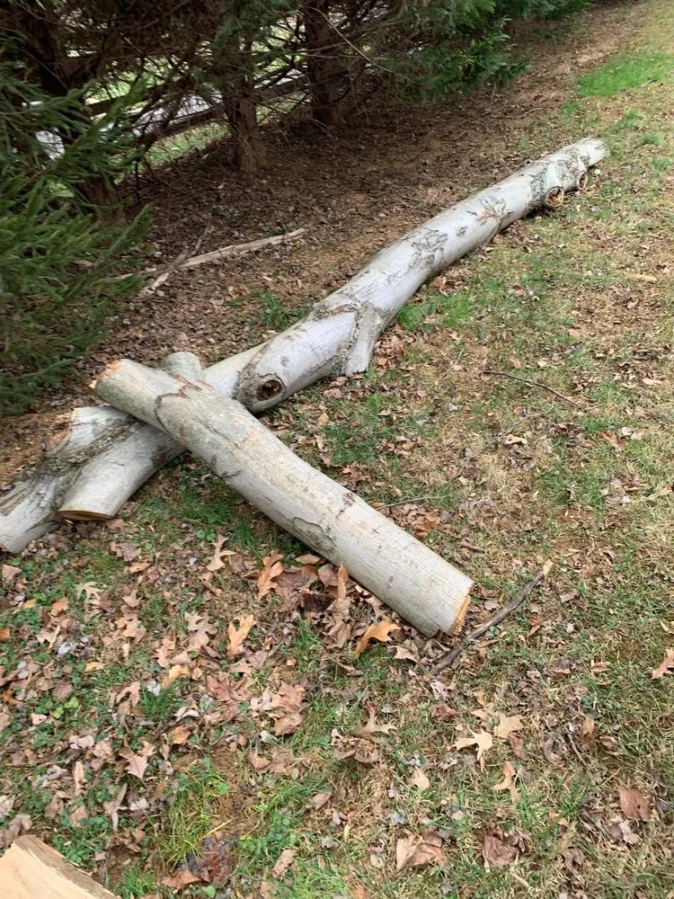 Expert yard maintenance for outdoor upgrades across Manassas, VA - Beagle Boyz II Lawn Service