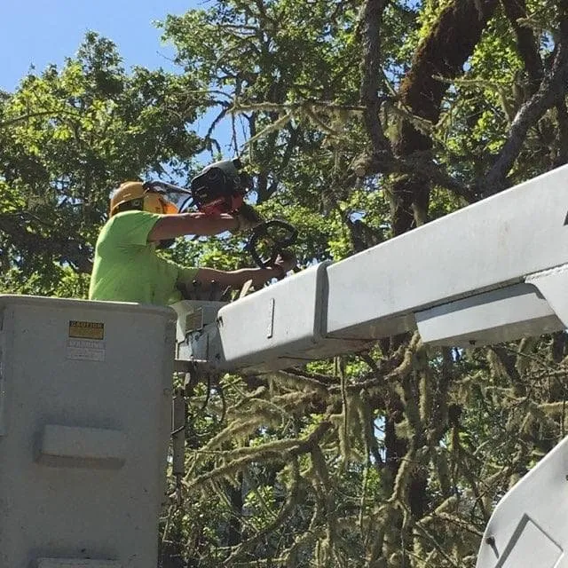 Professional outdoor landscaping experts serving Roseburg, OR - Beahm Property Care