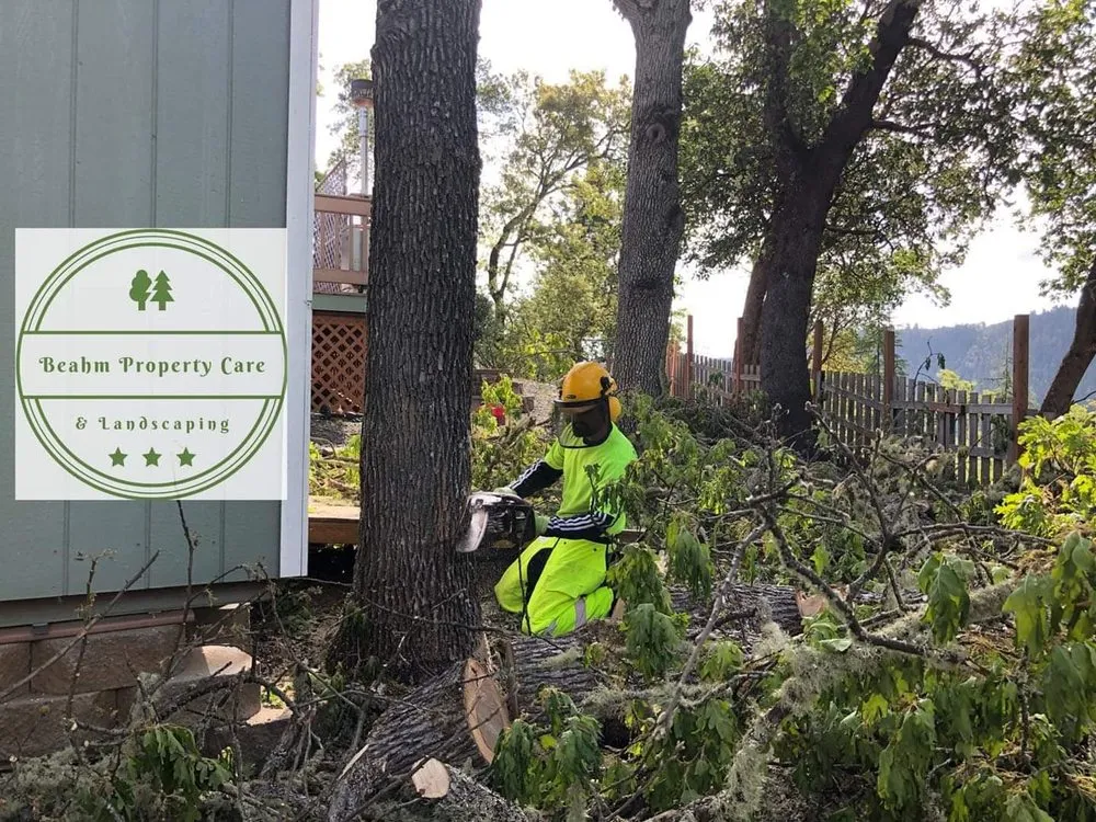 Professional outdoor landscaping in Roseburg, OR by Beahm Property Care