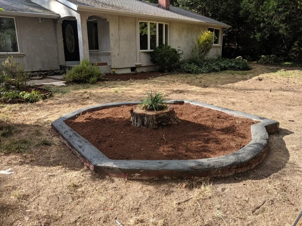 Expert yard cleanup service with custom design across Roseburg, OR - Beahm Property Care