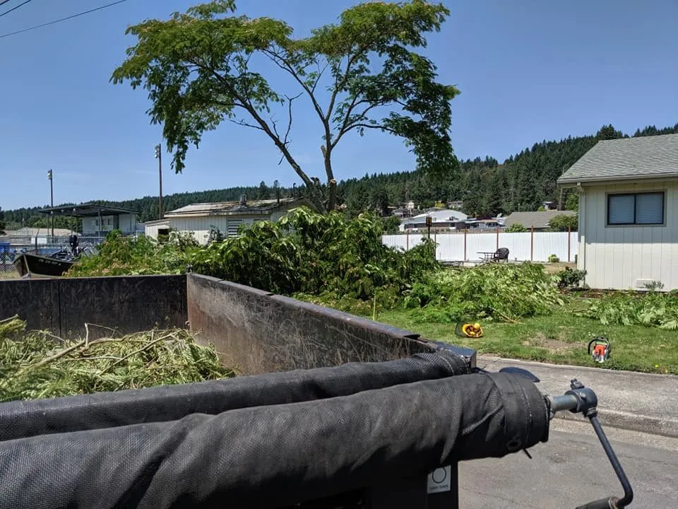 Affordable landscaping services in Roseburg, OR - Beahm Property Care