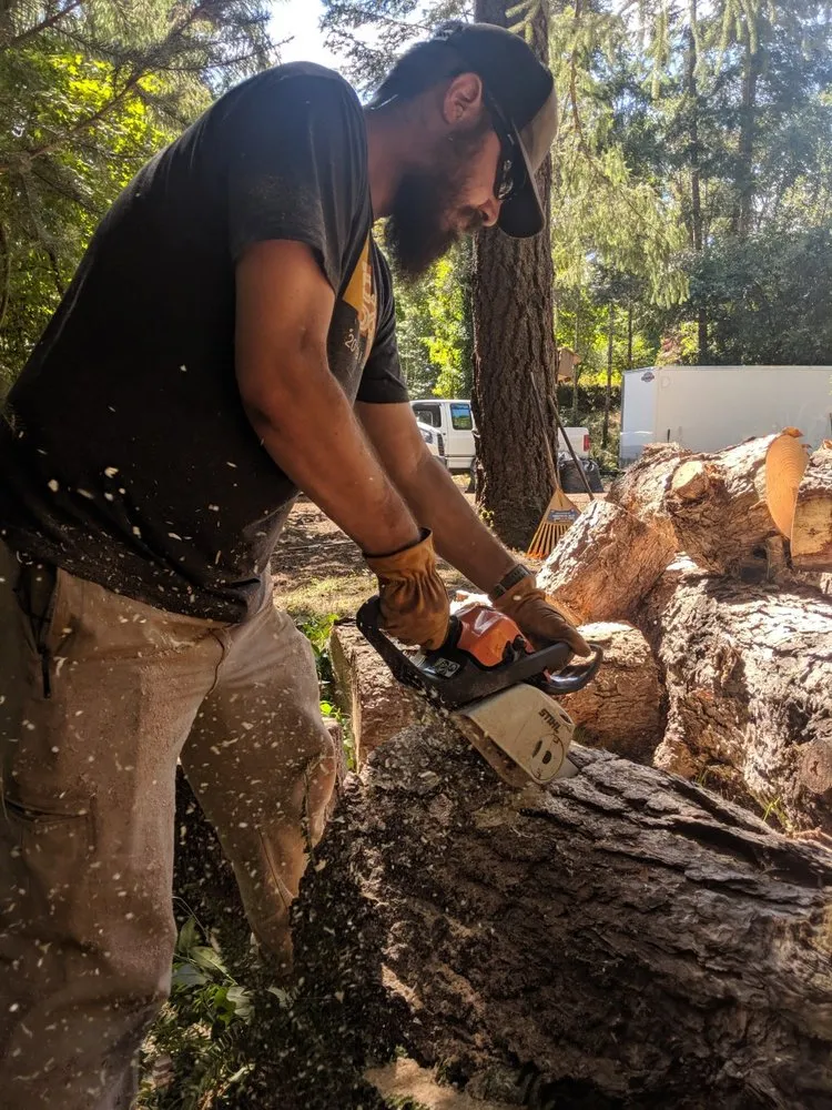 Reliable landscape design with custom design in Roseburg, OR by Beahm Property Care