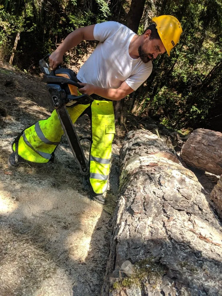 Custom landscape design for homes across Roseburg, OR - Beahm Property Care