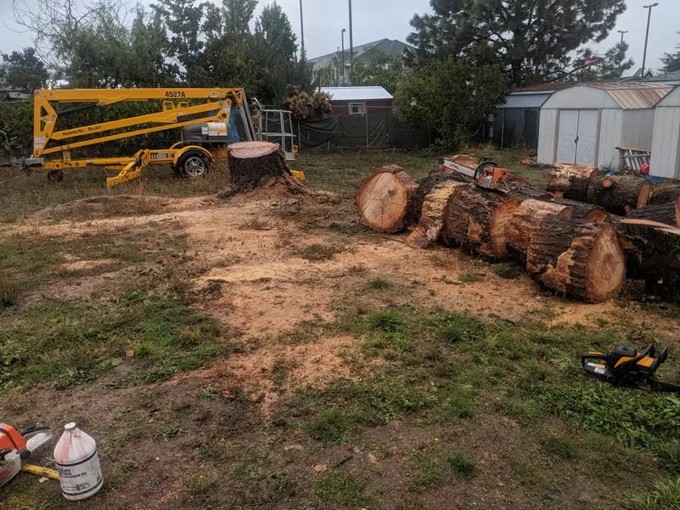 Custom landscaping services in Roseburg, OR - Beahm Property Care