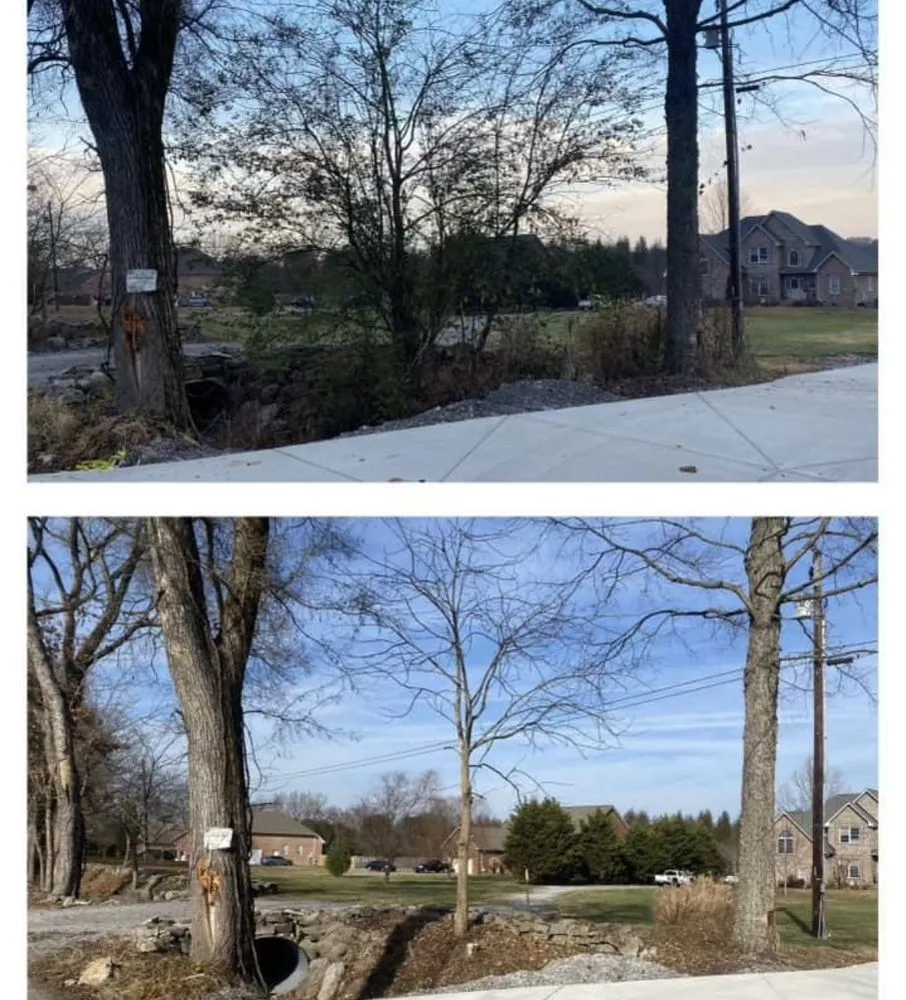 Reliable yard maintenance for outdoor upgrades in Lebanon, TN by Beal Lawn Care