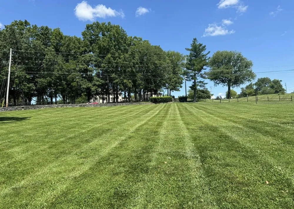 Local outdoor landscaping experts serving Lebanon, TN - Beal Lawn Care