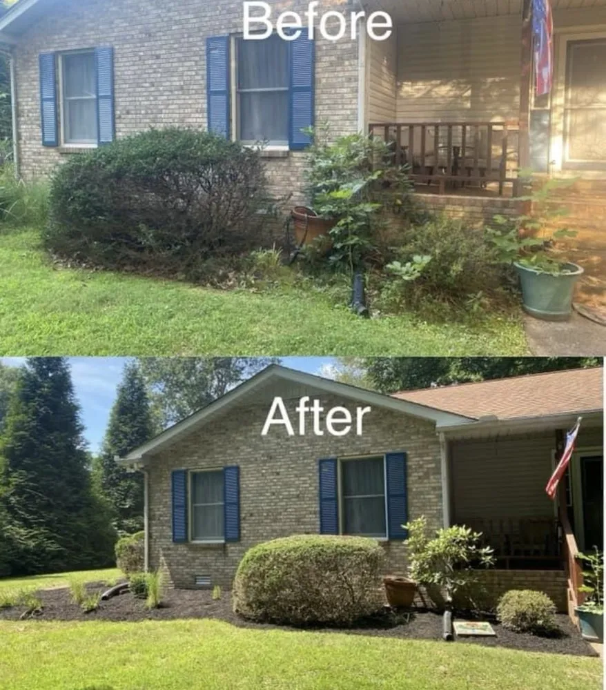 Top-rated yard cleanup service experts serving Lebanon, TN - Beal Lawn Care