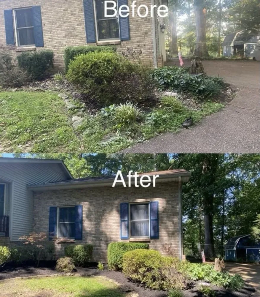 Top-rated yard maintenance experts serving Lebanon, TN - Beal Lawn Care