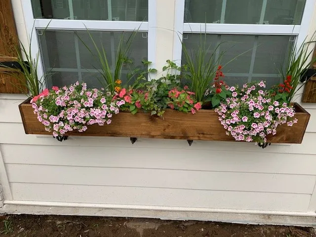 Top-rated garden landscaping near you across Charleston, SC - Beal Precision Solutions