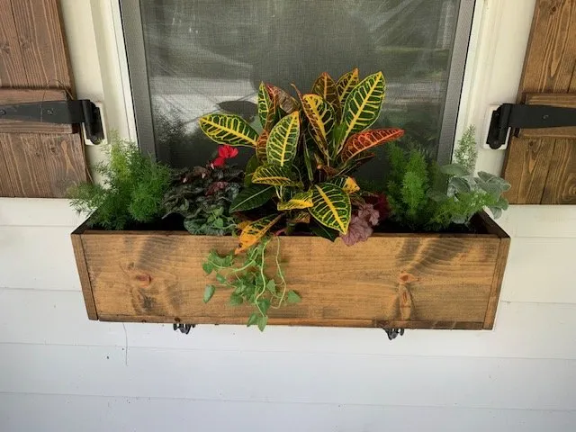 Reliable yard maintenance for beautiful yards in Charleston, SC by Beal Precision Solutions