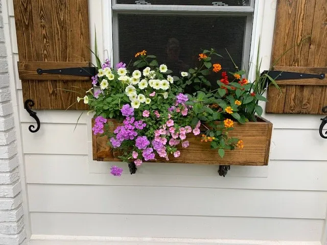 Top-rated yard cleanup service in Charleston, SC - Beal Precision Solutions