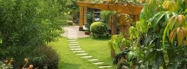 Local yard cleanup service experts serving King George, VA - Beales lawn Service