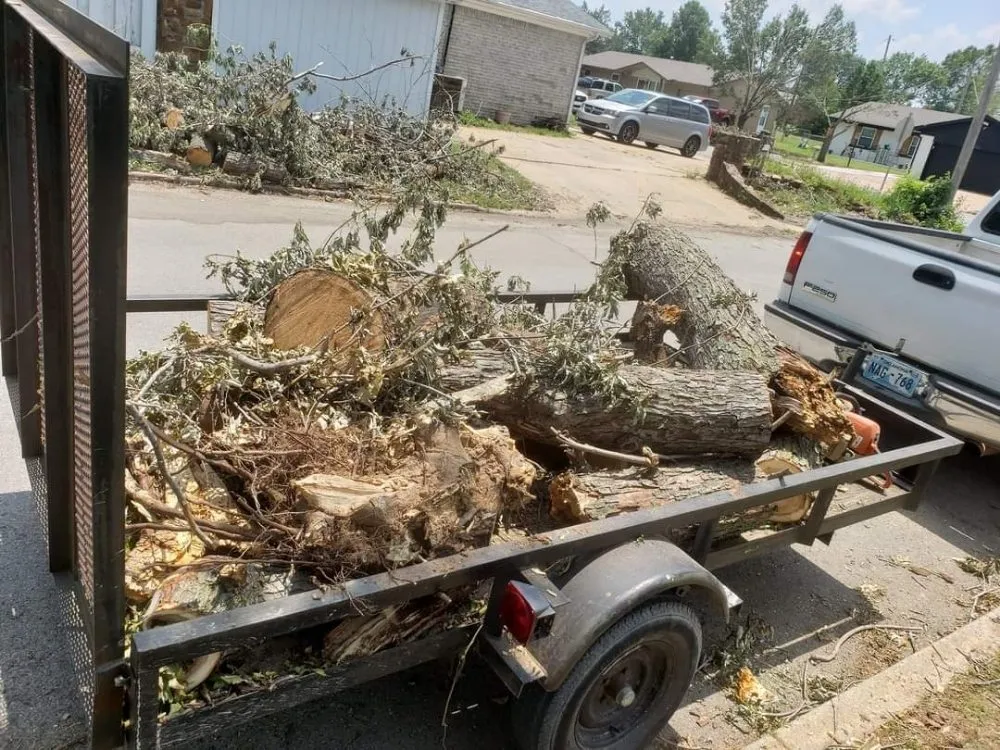 Top-rated lawn care service experts serving Sand Springs, OK - Beallphase Landscaping