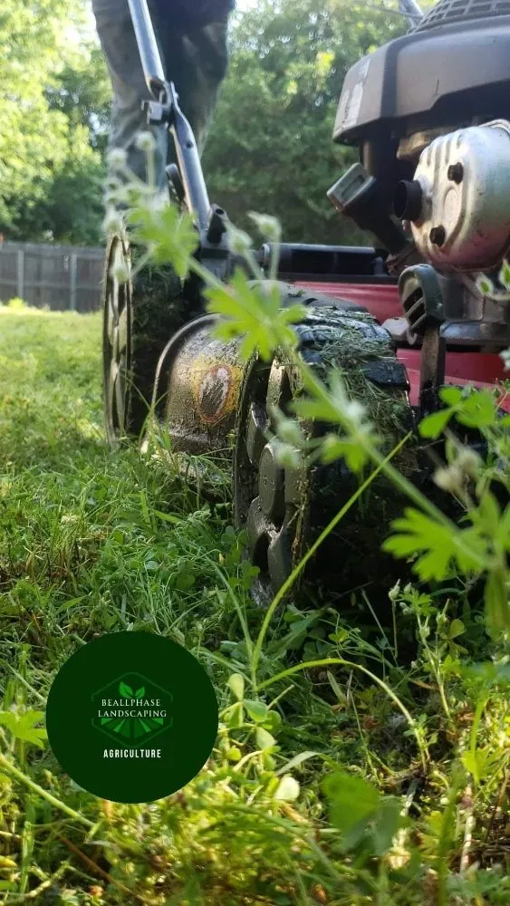 Trusted lawn care service experts serving Sand Springs, OK - Beallphase Landscaping