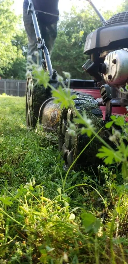 Trusted landscape design for residential properties in Sand Springs, OK by Beallphase Landscaping