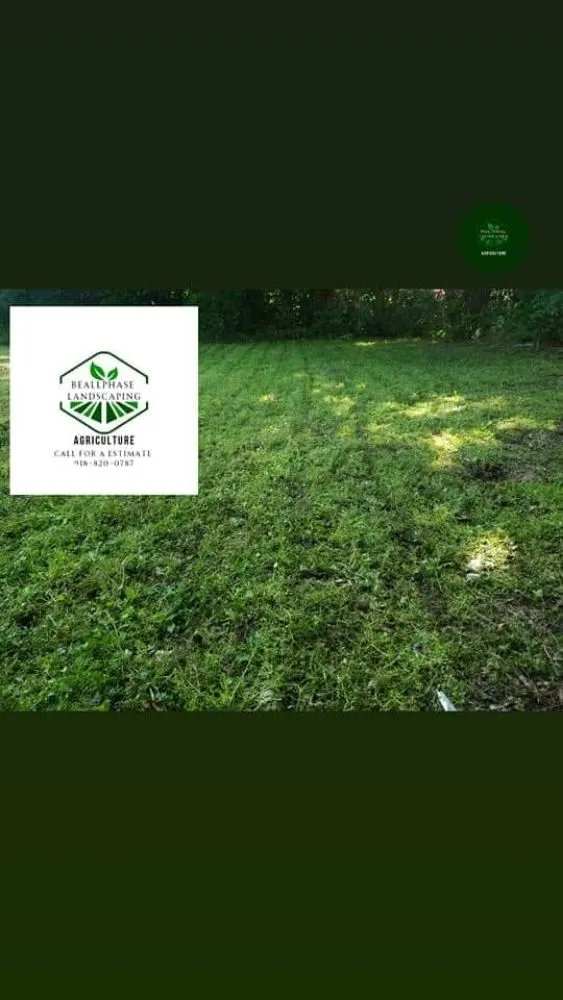 Professional landscaping services experts serving Sand Springs, OK - Beallphase Landscaping