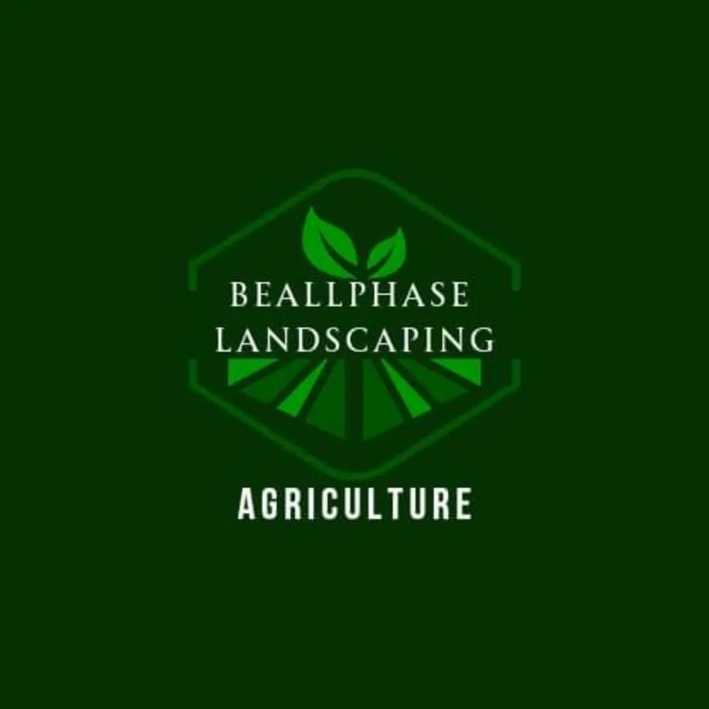 Top-rated lawn care service for beautiful yards in Sand Springs, OK by Beallphase Landscaping
