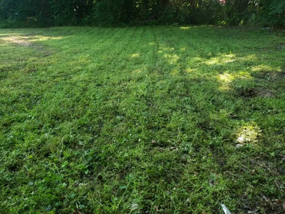 Top-rated landscape design for homes across Sand Springs, OK - Beallphase Landscaping