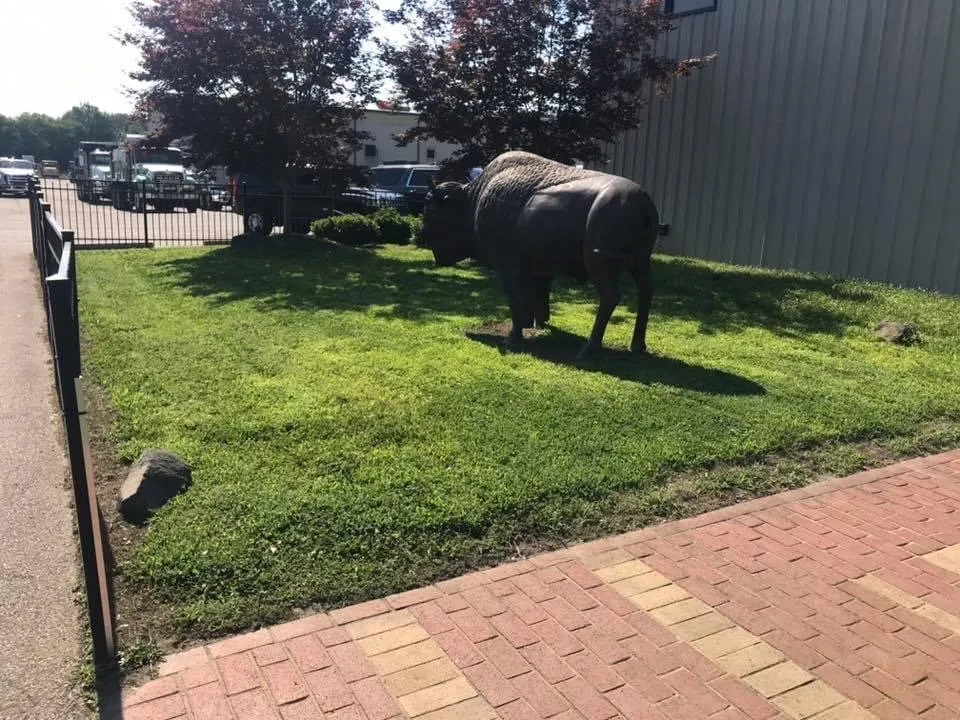 Reliable yard cleanup service experts serving Danville, VA - Beame’s Lawn Care