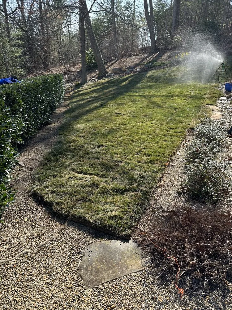 Affordable yard cleanup service in Fairview, NC by Beam's lawn & Landscape