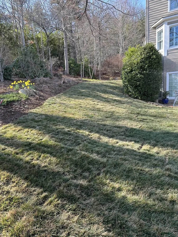 Expert landscape design for year-round maintenance across Fairview, NC - Beam's lawn & Landscape