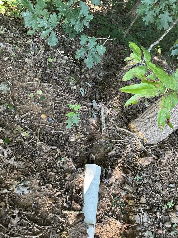 Reliable yard cleanup service for beautiful yards across Lincolnton, NC - Bean Brothers Landscaping