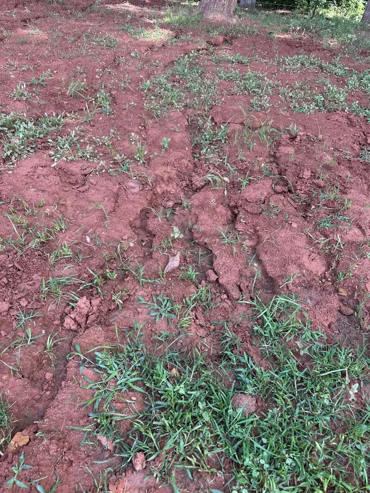 Affordable lawn care service for year-round maintenance across Lincolnton, NC - Bean Brothers Landscaping