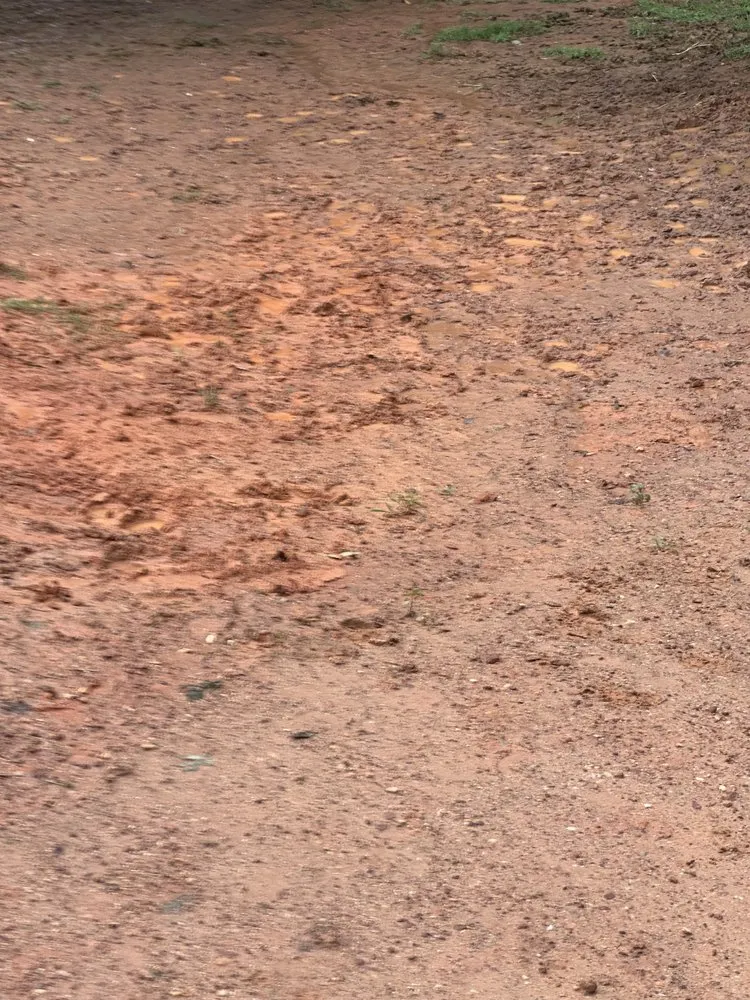 Local residential landscaping in Lincolnton, NC - Bean Brothers Landscaping