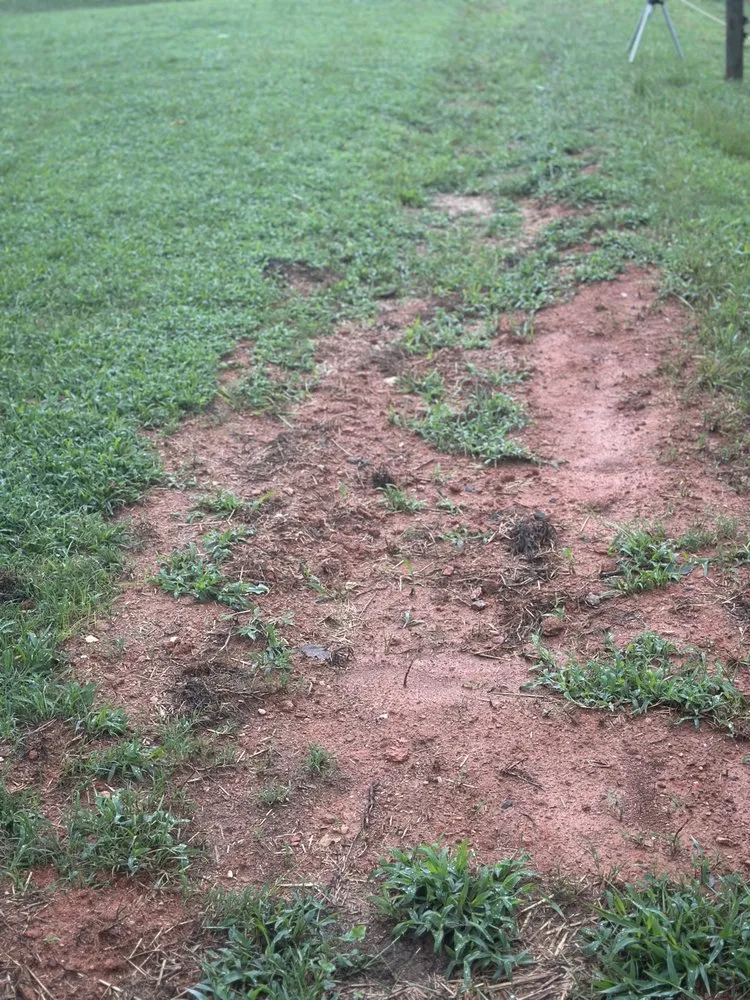 Expert landscape installation in Lincolnton, NC by Bean Brothers Landscaping