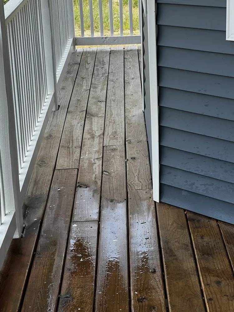 Trusted yard cleanup service experts serving Big Rapids, MI - Bean Power Washing