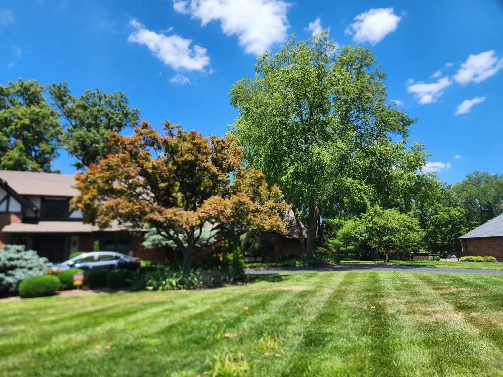 Expert garden landscaping experts serving Jefferson City, MO - Beans Affordable Tree Service