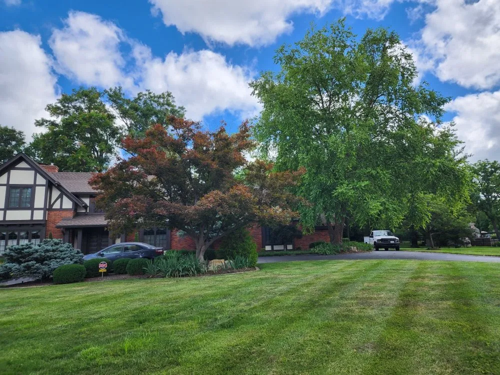 Local lawn care service for beautiful yards across Jefferson City, MO - Beans Affordable Tree Service