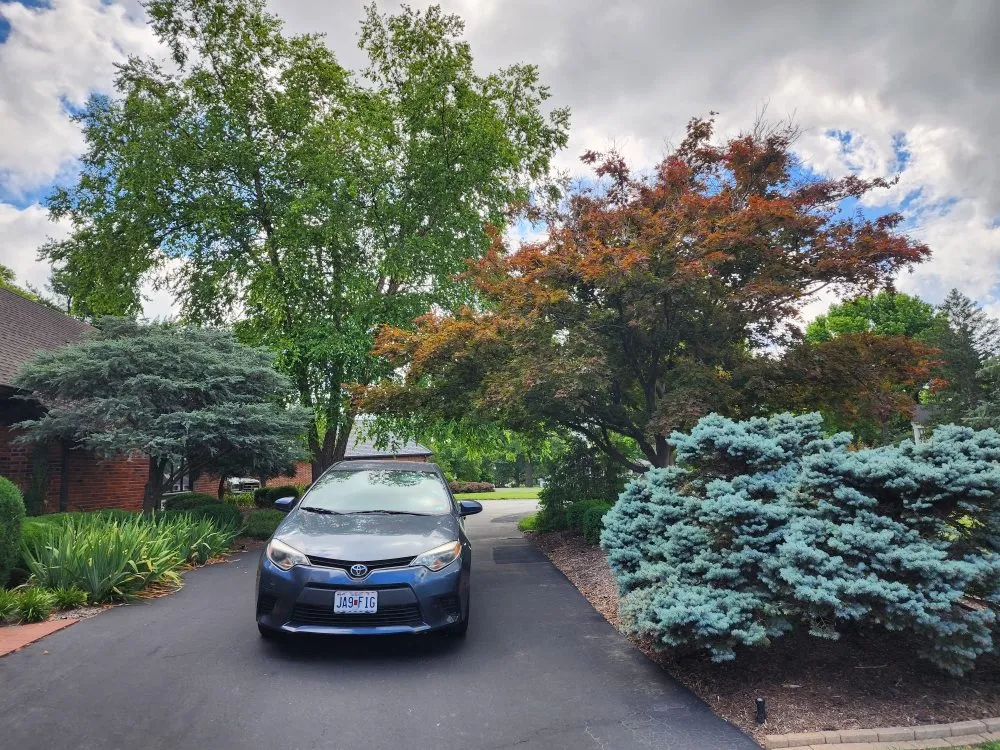 Reliable lawn mowing service for residential properties in Jefferson City, MO by Beans Affordable Tree Service