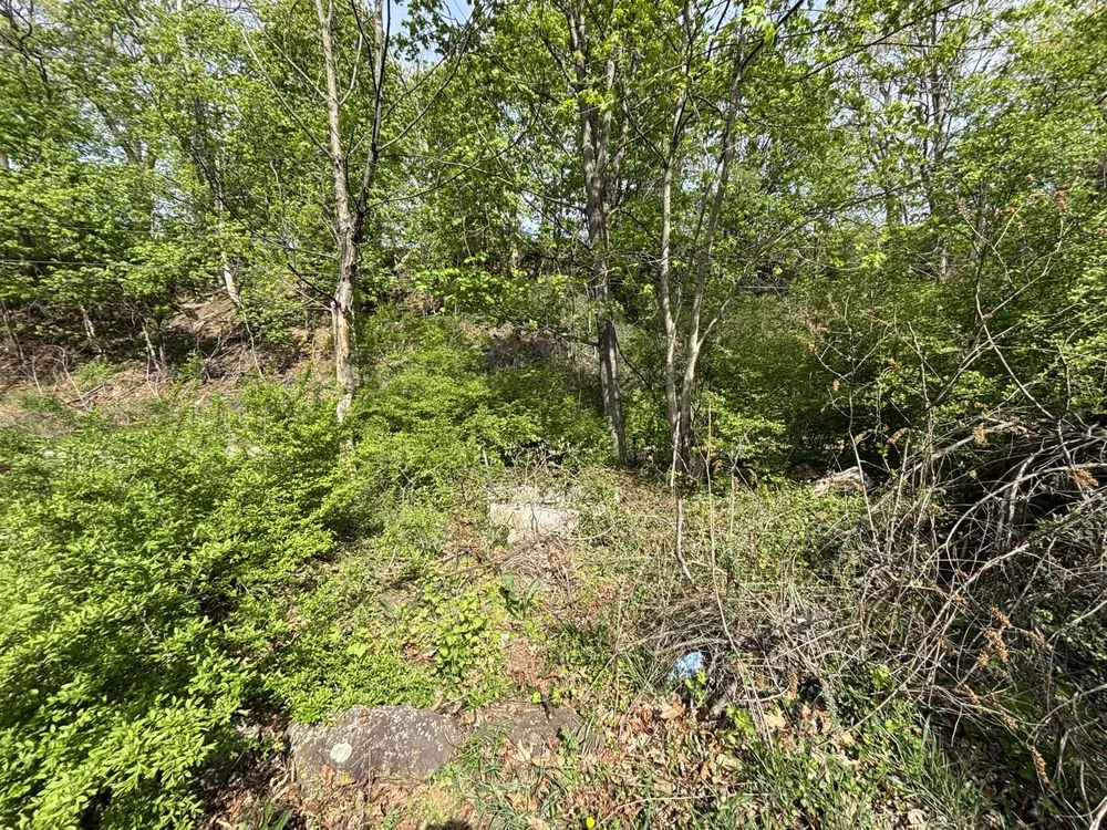 Affordable yard maintenance with custom design in Duncannon, PA by Bean’s Greens