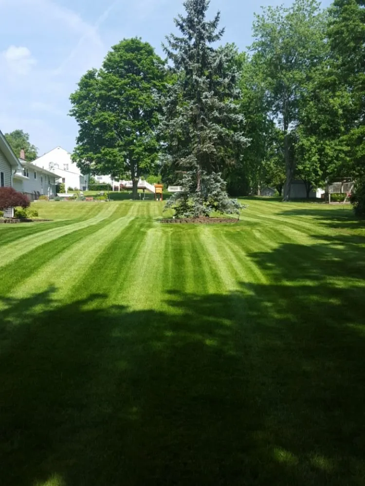 Local garden landscaping near you in Wayne, NJ by Bear Brook Landscaping