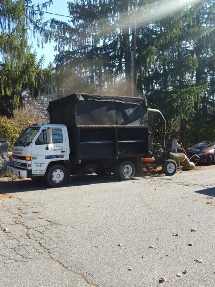 Affordable yard cleanup service in Wayne, NJ by Bear Brook Landscaping