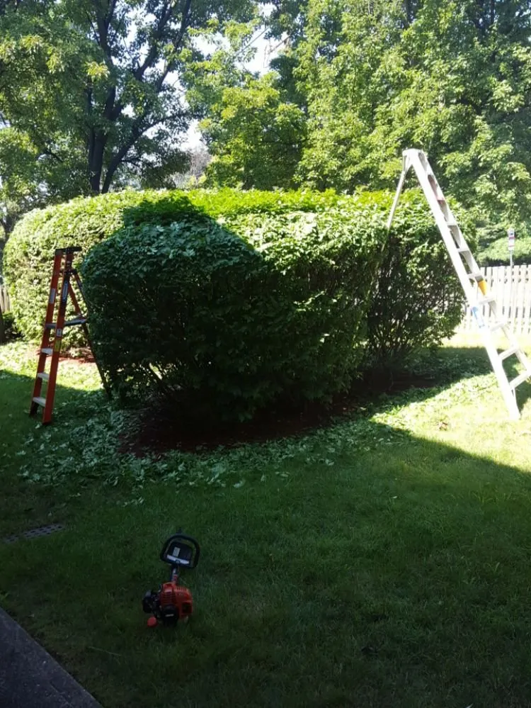 Local landscaping services for year-round maintenance in Wayne, NJ by Bear Brook Landscaping