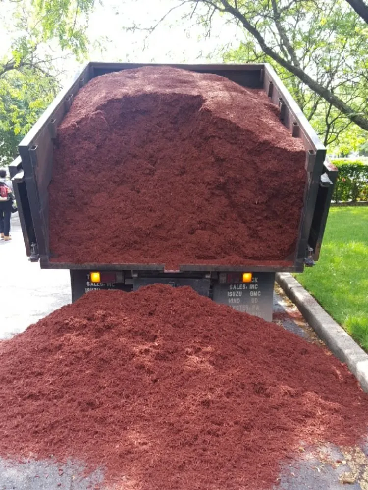 Trusted lawn mowing service in Wayne, NJ - Bear Brook Landscaping