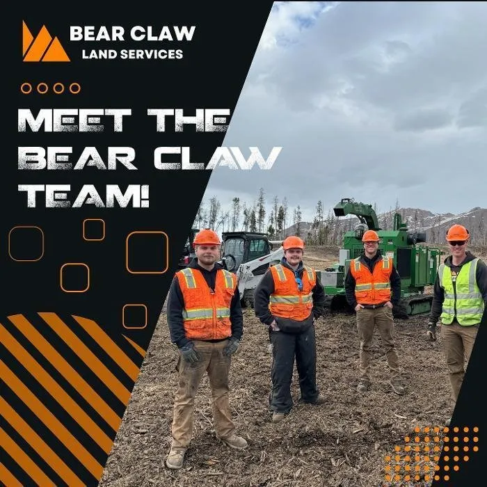 Reliable yard cleanup service near you in Winter Park, CO by Bear Claw Land Services